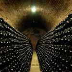 Italia del Vino, un progetto collettivo per il rilancio del vino italiano nel mondo