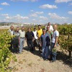La vitienologia palestinese rinforza le radici grazie al Trentino