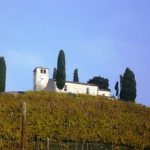 Conegliano-Valdobbiadene proclamata la Città Europea del Vino 2016