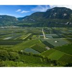 Al via la “Banca delle Terre Agricole”