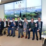 Unione Vini Veneti, esempio di cooperazione vincente