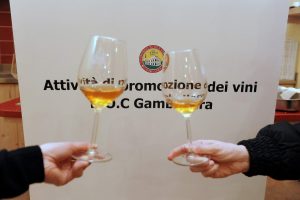 Calici vin santo Gambellara