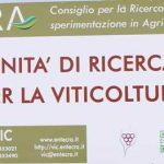 CRA, la ricerca al Vinitaly