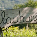 Ludwig Barth von Barthenau Vigna Roccolo, nuovo grand cru dell’Alto Adige