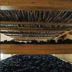 Corso appassimento uve in Cantina Valpolicella Negrar