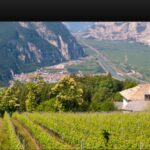 Pinot nero e  Hofstätter: nasce un nuovo grand cru altoatesino