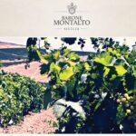 Ammasso: il nettare di Sicilia