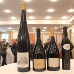 Alto Adige, sono 118 i vini top del territorio secondo le guide 2016