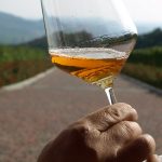 I bianchi sono i vini preferiti degli italiani