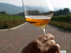 Strada del vino Soave particolare vino