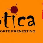 Enotica, uno stile di vita!