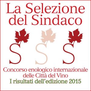 Selezione del Sindaco