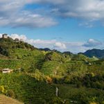 Veneto, un bando per promuovere i vini veneti nei paesi extra UE