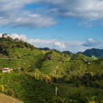 L’uso dei droni in agricoltura, convegno e dimostrazioni di volo nei vigneti