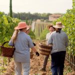 Cortona Doc: con Visita le Cantine alla scoperta del territorio