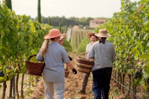 visita le cantine