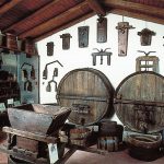 I trent’anni del Museo Agricolo e del Vino Ricci Curbastro memoria storica del volto agricolo della Franciacorta