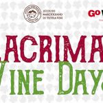 LACRIMA WINE DAYS, DEGUSTAZIONI NEL BORGO DI MORRO D’ALBA CON LE AZIENDE IMT