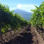 La Sicilia di Donnafugata è anche Etna e Cerasuolo di Vittoria