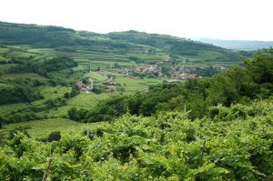 colline-di-gambellara