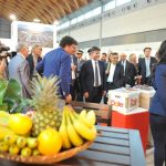 Macfrut 2016: due focus de L’Informatore Agrario sull’innovazione varietale