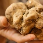 ECCELLENZE A CONFRONTO, SICILIA E PIEMONTE:  GRANI E TARTUFO BIANCO D’ALBA