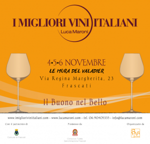 save-the-date-imvi_frascati_2016