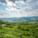 La Val d’Alpone si candida per l’Unesco