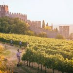 Colline vitate del Soave: nuova ricerca dello IUAV