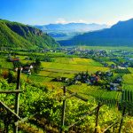 Alto Adige Wine Summit, 22-23 settembre a Bolzano: i vini del territorio si presentano in anteprima