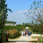 ENOTURISMO: DA SABATO CANTINE APERTE IN VENDEMMIA IN 14 REGIONI