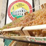 Garganega protagonista al Gambellara Wine Festival 2017