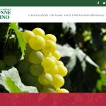 Arriva il nuovo sito de Le Donne del Vino