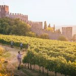 Il Soave racconta il “suo” paesaggio rurale