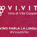 Vi.Vite – dove il vino parla la lingua di tutti