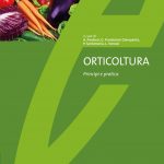 Orticoltura. Principi e pratica