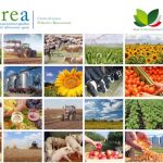 Agroalimentare e guerra: dal CREA i numeri dell’impatto sui costi delle aziende agricole italiane