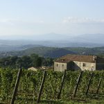 Il Consorzio Tutela Vini Montecucco al debutto di “L’Altra Toscana”