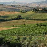 Orcia Wine Festival: al via da sabato la grande festa dell’Orcia Doc