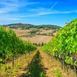 Orcia Wine Festival: dopo due anni torna la grande festa dell’Orcia Doc