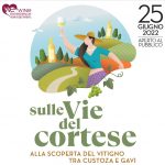 Sulle vie del Cortese: Custoza e Gavi si incontrano a Verona