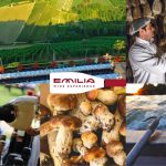 Emilia wine experience: un anno di promozione integrata per il territorio e le sue eccellenze enogastronomiche