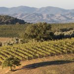 Il Consorzio Tutela Vini Montecucco torna a “L’Altra Toscana”