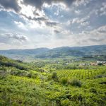 Val d’Alpone in corsa per l’UNESCO