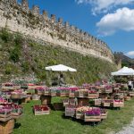 FIORInellaROCCA, mostra mercato di piante rar