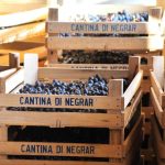 La 90^ vendemmia di Cantina Valpolicella Negrar mette l’accento sulle varietà