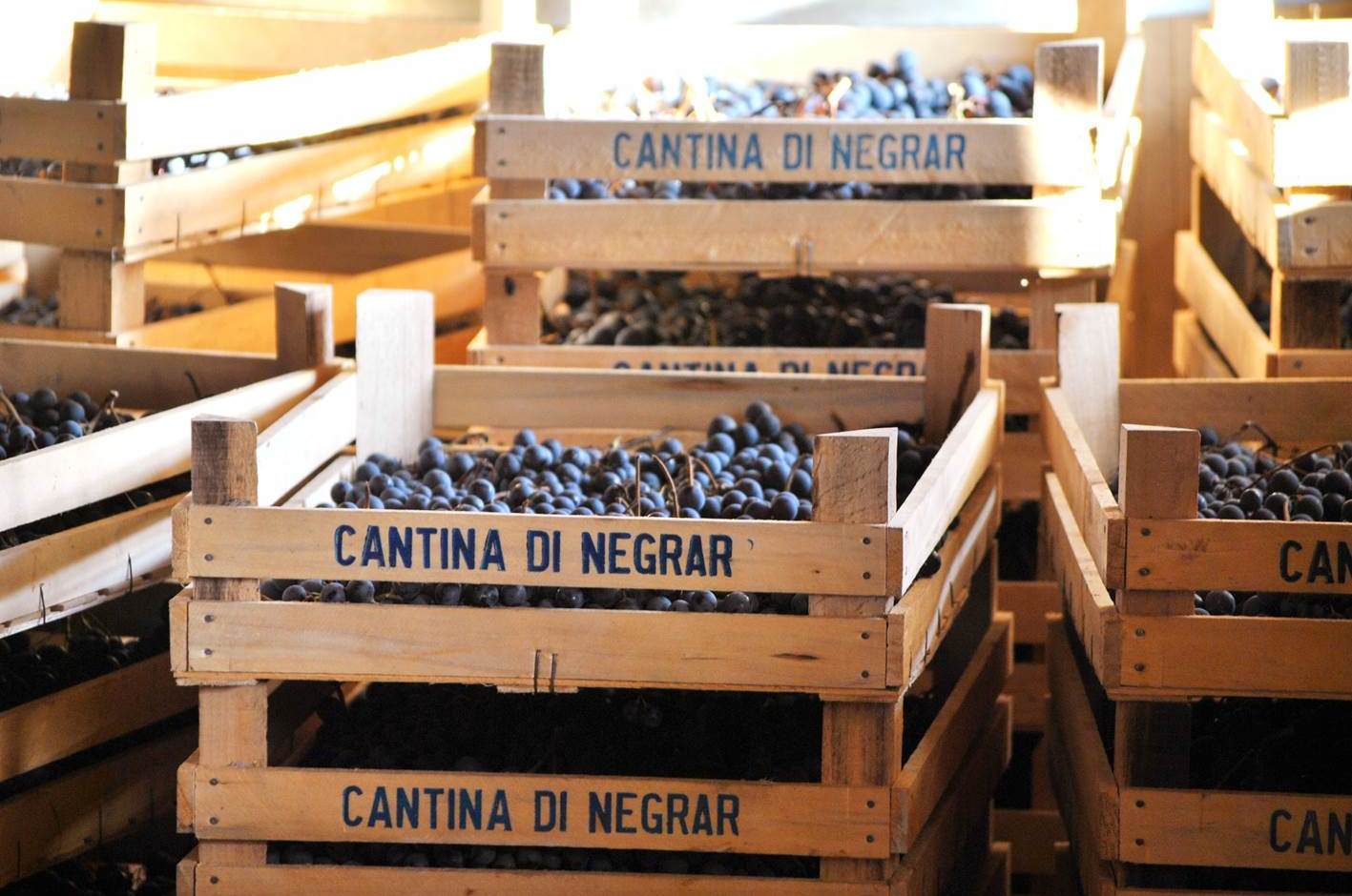 Cantina Valpolicella Negrar