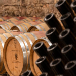 FEM e Trentodoc, storie intrecciate di ricerca e innovazione