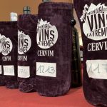 31° edizione del Mondial des Vins Extrêmes, premiato 238 vini eroici