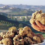 VOLTERRAGUSTO: Tartufo & il cibo, storia di un territorio